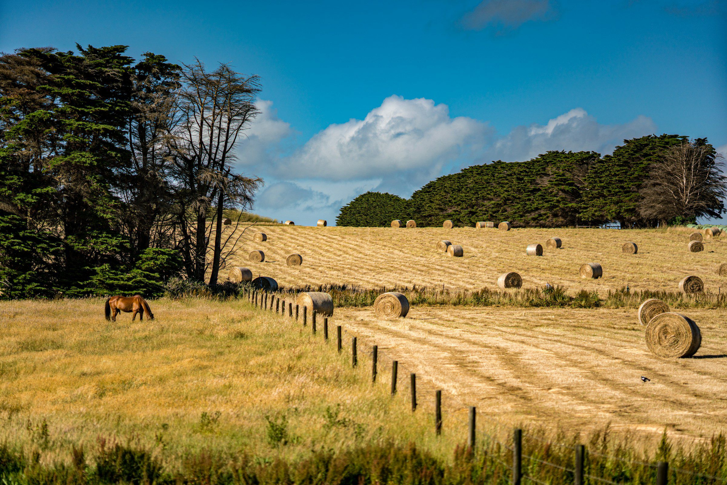 Invest in Agriculture Without Purchasing a Farm