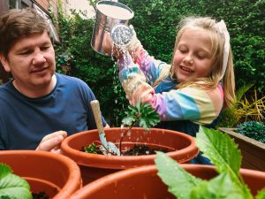 Taking Care of Your Garden on a Budget